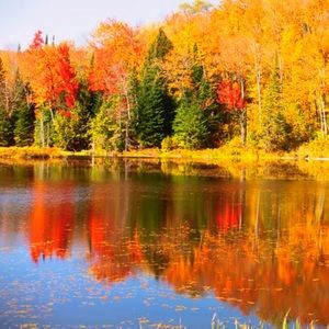 Meet your Posher, Joyce